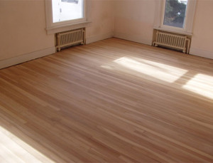 Hardwood Floor Restoration | During